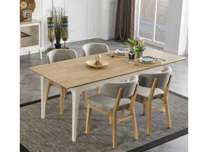 Complete Set Dining table 4x Chairs Dining room Set Ess Group Wood Table Tables 5pcs