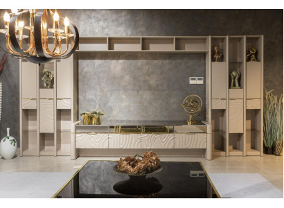 Wall unit Designer Living room furniture Wall cabinet Wall Shelf Living walls