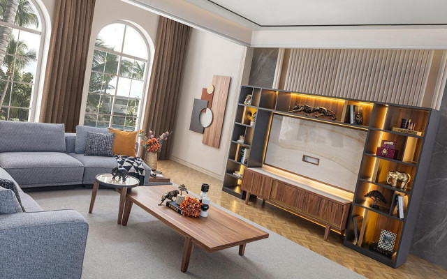 Luxury Wall unit Designer Style Modern Living room Set Wall Display case Lowboard