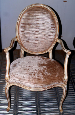 Dining room Armchair Beige Gold Wood Dining room Furniture Chairs Living room Chair new