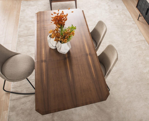 Dining room table Dining table Table Dining room Dining room 205 cm Wood Brown