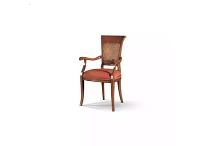 Textile Luxury Furniture Dining room chair Chair with Armrest Dining room Design