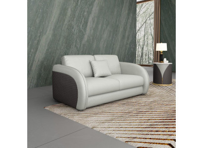 Leather sofa Couch Living landscape 2 Seater Design Modern Sofa Two-seater Genuine leather