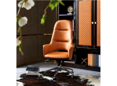 Chair Office Chair Desk Swivel Chair Armchair Chairs Executive Chair Office Furnishings