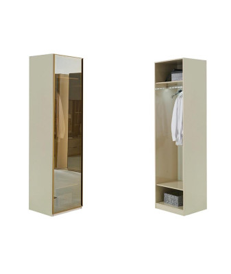 Walk-in Wardrobe Furniture Glass Cabinet Tinted Fronts Wardrobe Corner Cabinet