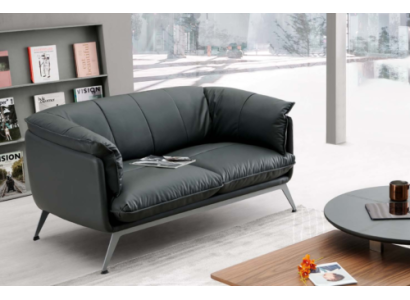 Leather Sofa Couch Two-seater Office Furnishings Lounge Club Sofas Couches