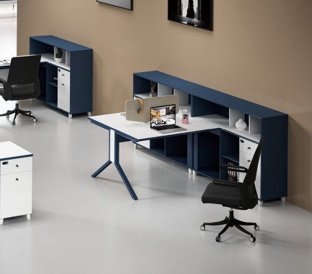 Desk Shelf Double Workstation Office Furnishings Furniture