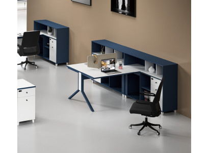 Desk Shelf Double Workstation Office Furnishings Furniture