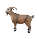 Animal Figurines