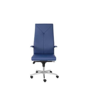 Office Armchair Gaming Chair Office Chair Desk Swivel Chair Boss Armchair Single Seater