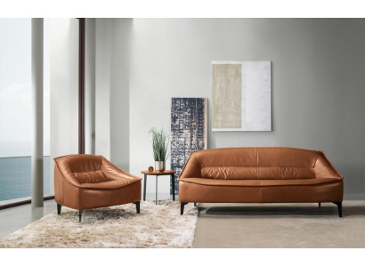 Luxury Suite Set 2-piece Sofa set 3+1 Seat Modern Sofa and Armchair