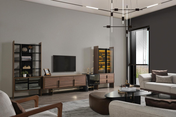 Living room Wall unit TV Lowboard Display case Bookshelf Wood Furniture Modern