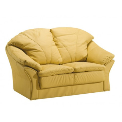 Design Two-seater Sofas Couch Upholstery Modern Couches Imitation leather Sofa