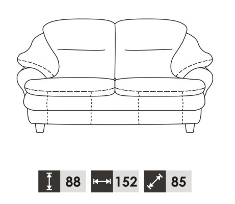 Sofa 2 Seater Design Sofas Upholstery Couches Leather Relax Decoration Modern Seat