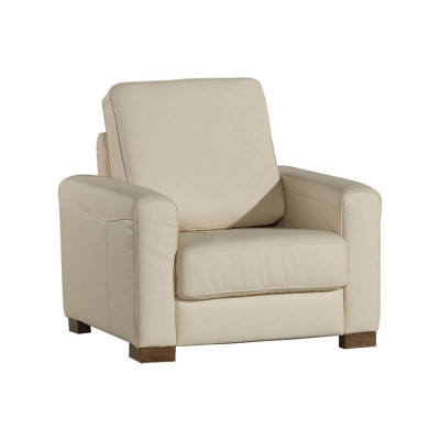 Armchair single seater lounge sofa television single seater couch living room furniture sofas new