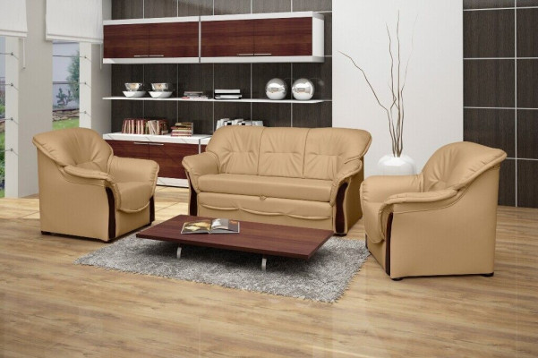 Sofa bed Sofa Upholstery Bed Couches Sleep Sofas Couch Seat Bed function new