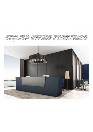 Stylish Office Furniture