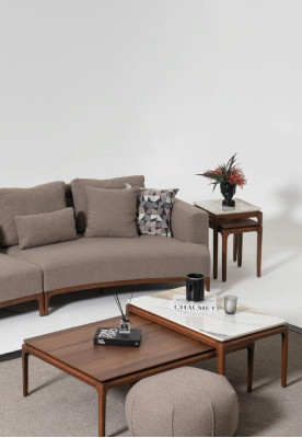 Living room 2x Coffee table Table Luxury Design Furniture Brown Tables 2pcs.