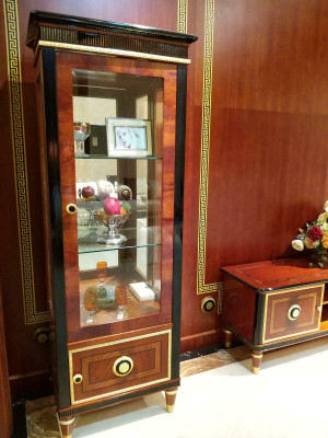 Display case Glass Wardrobe Living room Showcase 1-door showcases XXL tall cabinet