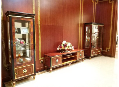 Display case Glass Wardrobe Living room shop window 2 door showcases XXL