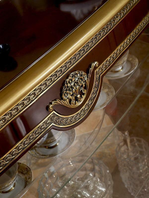 Elegant display case antique style baroque rococo showcase living room glass wardrobe new